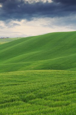 Tipik Tuscany manzara bahar