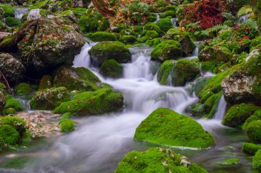 Mountain creek in the autumn forest in Triglav national park clipart