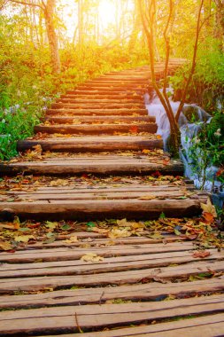 Ahşap sonbahar Plitvice milli parkta yolundaki