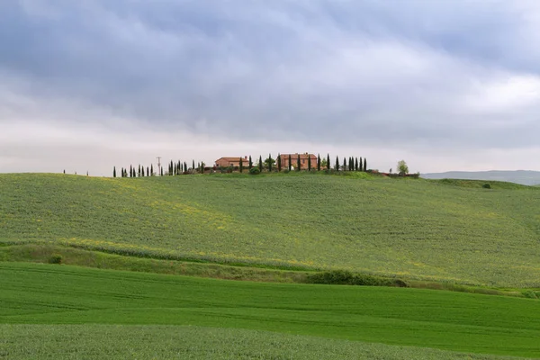 Typische Tuscany landschap lente — Stockfoto