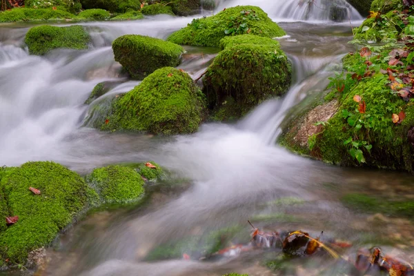 Mountain creek in the autumn forest in Triglav national park — Stock Photo, Image