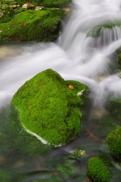 Mountain creek in the autumn forest in Triglav national park — Stock Photo, Image