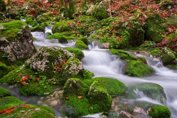 Gebirgsbach im Herbstwald im Nationalpark Triglav — Stockfoto