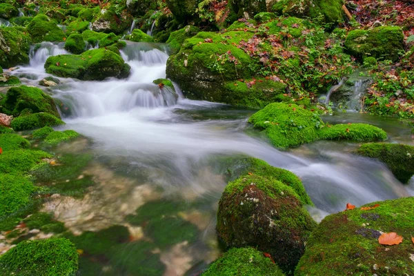 Dağ dere Triglav Ulusal Parkı sonbahar ormanında — Stok fotoğraf