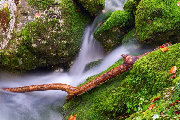 Gebirgsbach im Herbstwald im Nationalpark Triglav — Stockfoto