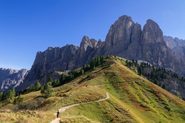 Dolomites, south Tyrol içinde tipik dağ manzarası