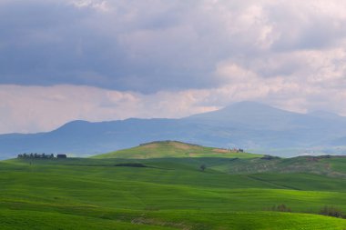 Tuscany manzara, güzel yeşil tepeler bahar