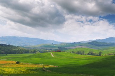 Tuscany manzara, güzel yeşil tepeler bahar