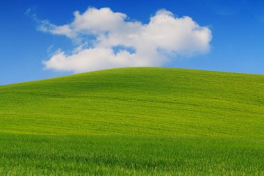 Tuscany manzara, güzel yeşil tepeler bahar