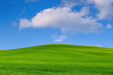 Tuscany manzara, güzel yeşil tepeler bahar