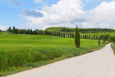 Tuscany manzara, güzel yeşil tepeler ve yol bahar