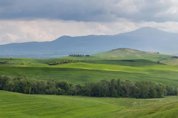 Toskana Landschaft, schöne grüne Hügel Frühling — Stockfoto