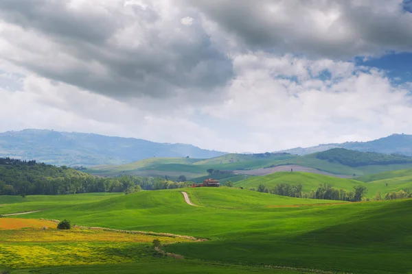 Toskana Landschaft, schöne grüne Hügel Frühling — Stockfoto