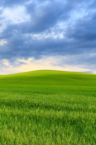 Toscana paisaje, hermosas colinas verdes primavera —  Fotos de Stock