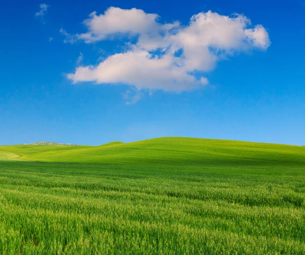 Toscana paisaje, hermosas colinas verdes primavera —  Fotos de Stock