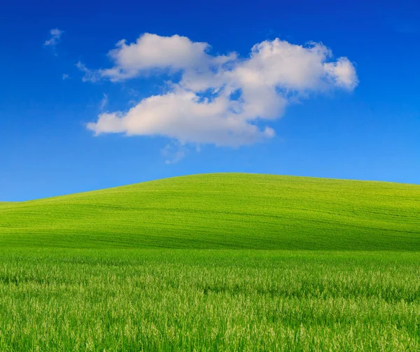 Toscana paisaje, hermosas colinas verdes primavera —  Fotos de Stock