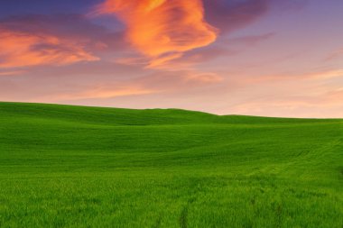 Tuscany manzara, güzel yeşil tepeler bahar gündoğumu