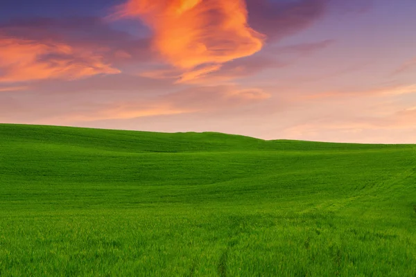 Toscana paisaje, hermosas colinas verdes primavera al amanecer —  Fotos de Stock