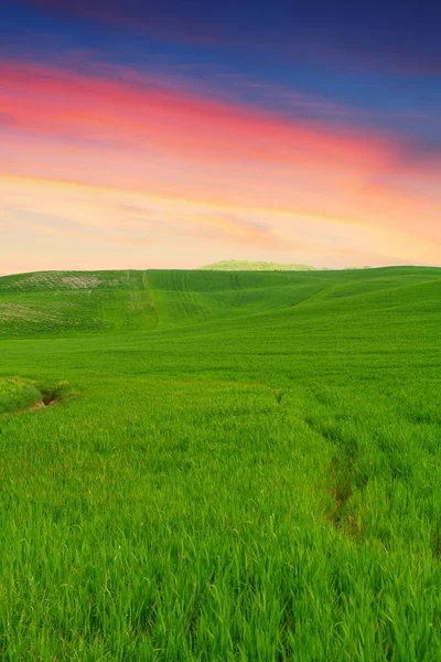 Tuscany krajobraz, piękne zielone wzgórza wiosenny o wschodzie słońca — Zdjęcie stockowe