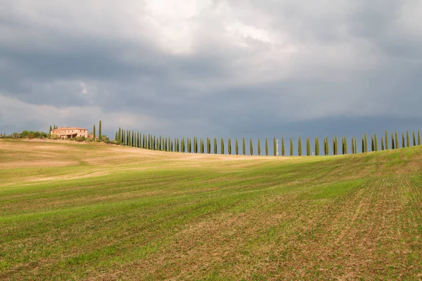 Tuscany landskap, vackra gröna kullar och cypress träd rad sp — Stockfoto