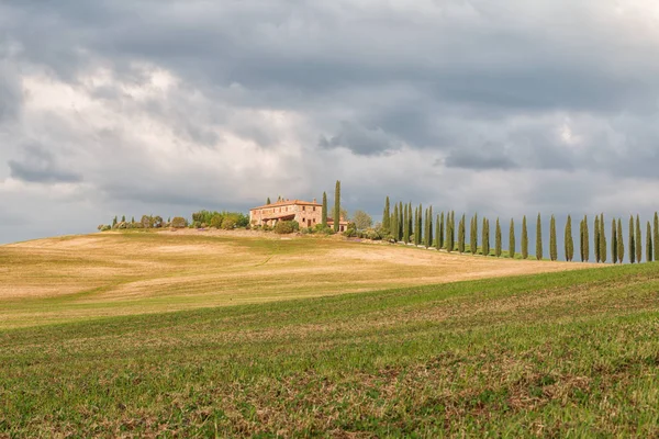 Toskana Landschaft, schöne grüne Hügel und Zypressenreihen sp — Stockfoto
