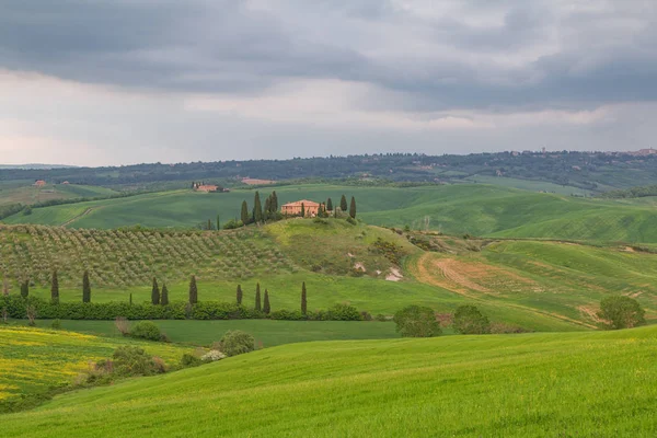 Typische toskanische Landschaft Frühling — Stockfoto