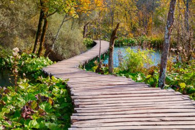 Ahşap yolundaki Plitvice Gölü Milli Parkı