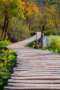 Ahşap yolundaki Plitvice Gölü Milli Parkı