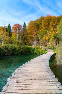 Ahşap yolundaki Plitvice Gölü Milli Parkı