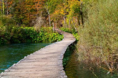 Ahşap yolundaki Plitvice Gölü Milli Parkı