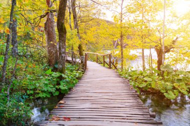 Ahşap yolundaki Plitvice Gölü Milli Parkı
