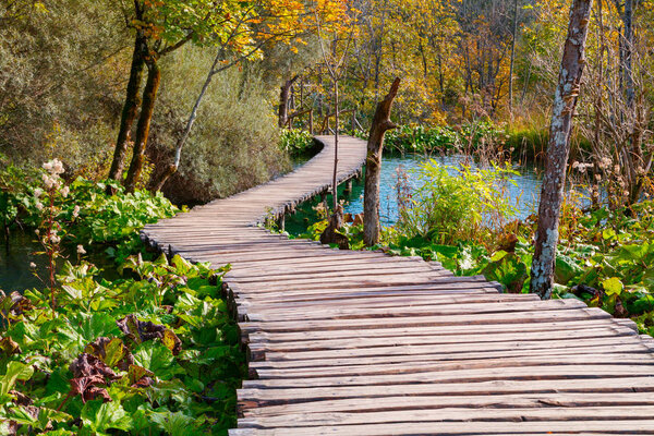 Wood path in the Plitvice lake national park