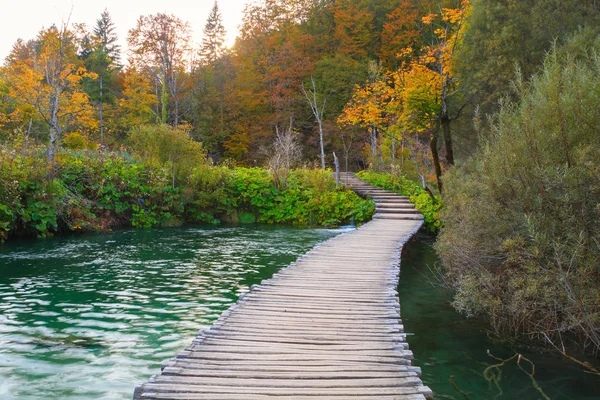 Деревянная тропа в национальном парке Плитвицкое озеро — стоковое фото