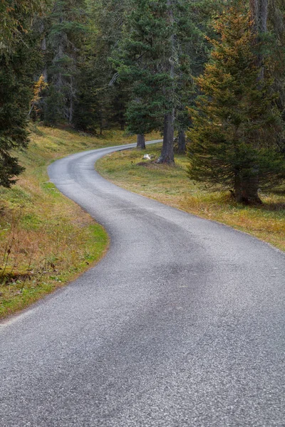 Orman dağ yolu Cinque Torri yarış yakınındaki Dolomites içinde