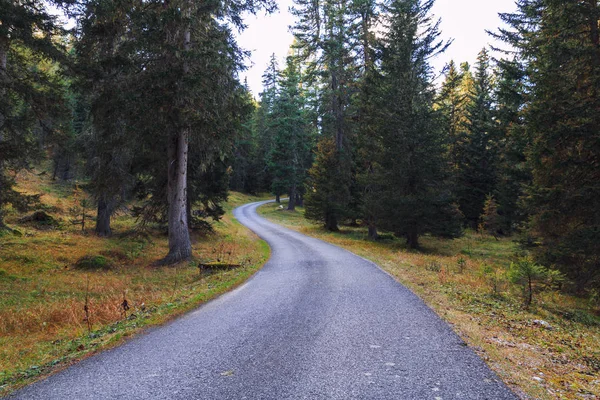 Forest-bergweg in de Dolomieten in de buurt van de Cinque Torri Moun — Stockfoto