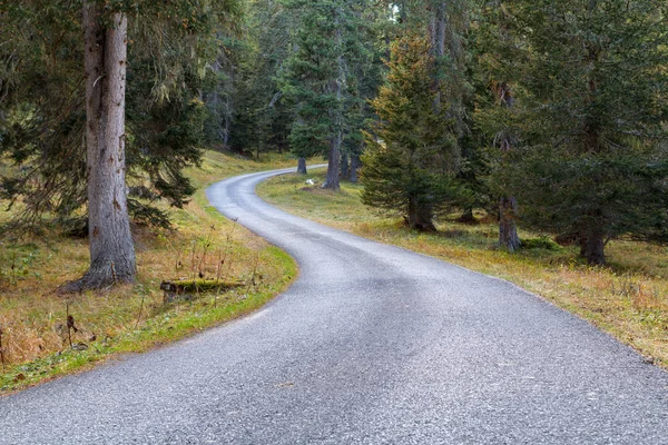 Orman dağ yolu Cinque Torri yarış yakınındaki Dolomites içinde