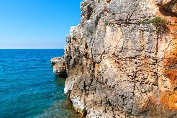 Costa rocosa en la península de Istria en el mar Adriático —  Fotos de Stock