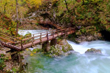 Harika Vintgar Gorge Kanyon yapmamı River ve güzel bir