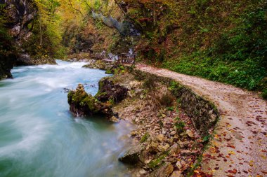 Harika Vintgar Gorge Kanyon yapmamı River ve güzel bir