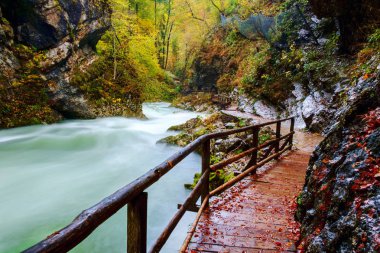Harika Vintgar Gorge Kanyon yapmamı River ve güzel bir