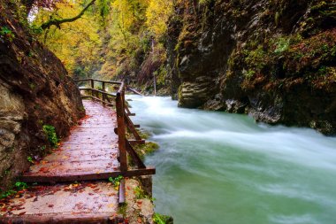 Harika Vintgar Gorge Kanyon yapmamı River ve güzel bir