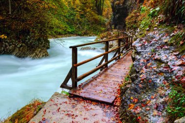 Harika Vintgar Gorge Kanyon yapmamı River ve güzel bir