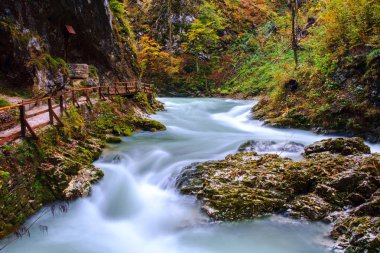 Harika Vintgar Gorge Kanyon yapmamı River ve güzel bir