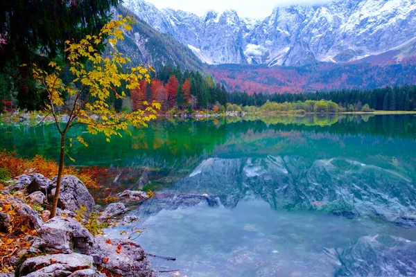 Πανέμορφη λίμνη βουνό Lago di Fusine το φθινόπωρο και το Mangart μου — Φωτογραφία Αρχείου