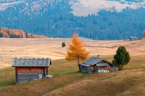 Prairie de montagne et maison Alpe di Siusi ou Seiser Alm dans le bac — Photo