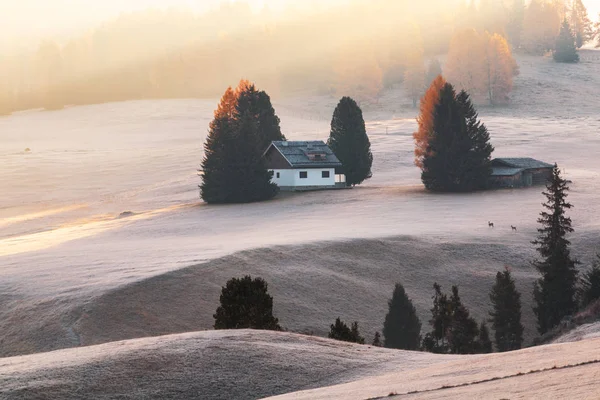 Górska łąka i dom Alpe di Siusi lub Seiser Alm w bac — Zdjęcie stockowe