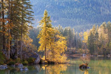 Hintersee Gölü 'nde güneşin doğuşunda güzel sonbahar renkleri 