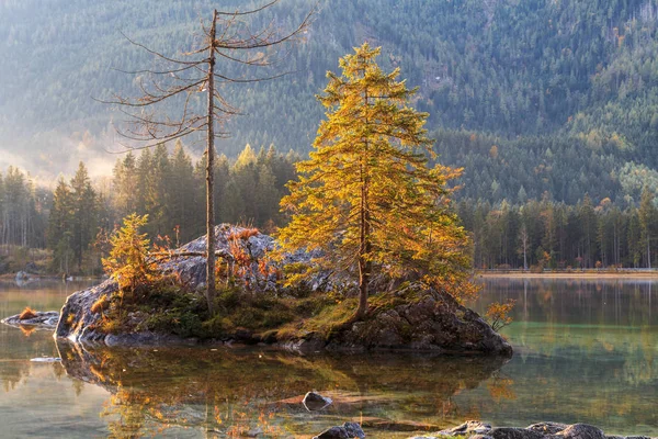 Hermosos colores de otoño en el amanecer en el lago Hintersee en —  Fotos de Stock
