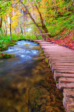 Meşhur Plitvice gölleri ve güzel sonbaharı olan ahşap patikalar. 