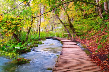 Güzel sonbahar renkleri ve büyüğü olan ünlü Plitvice gölleri